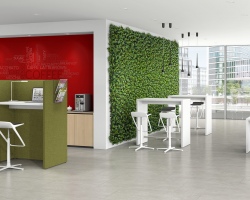 Break-out/Lounge 11