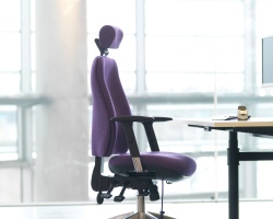 Ergonomic science 2