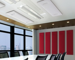 Meeting 5