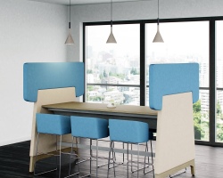 Meeting 8