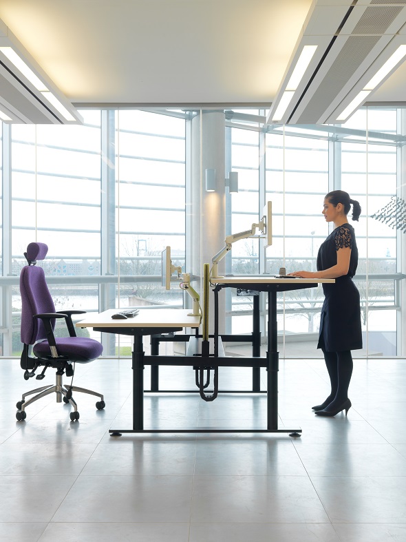 Ergonomic science 1